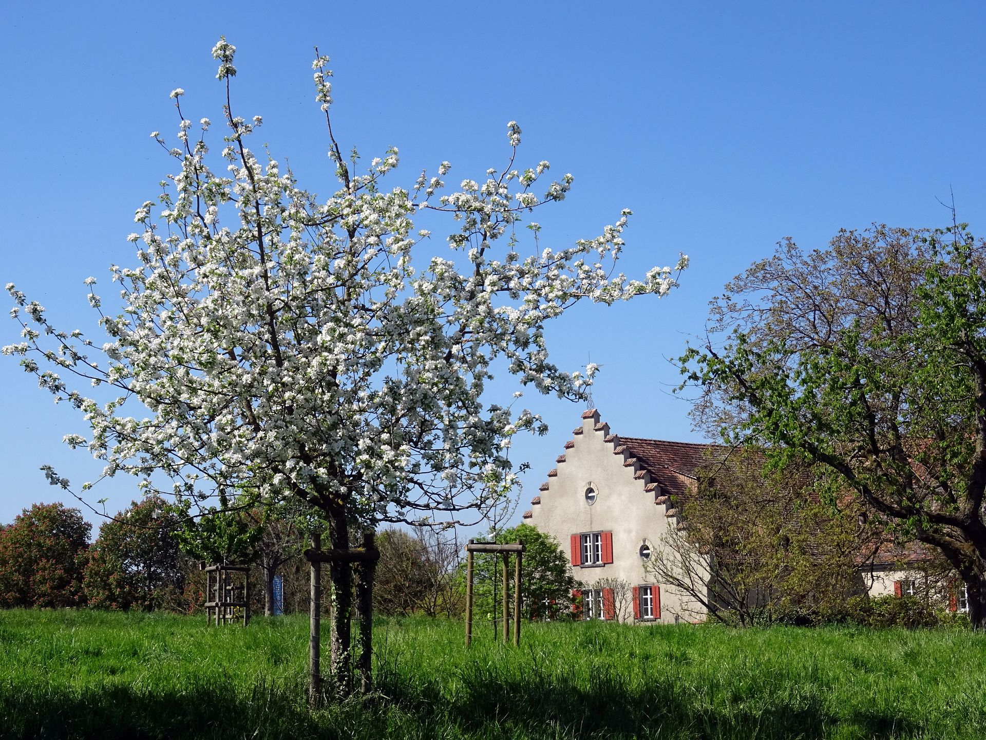 Kreuzlingen